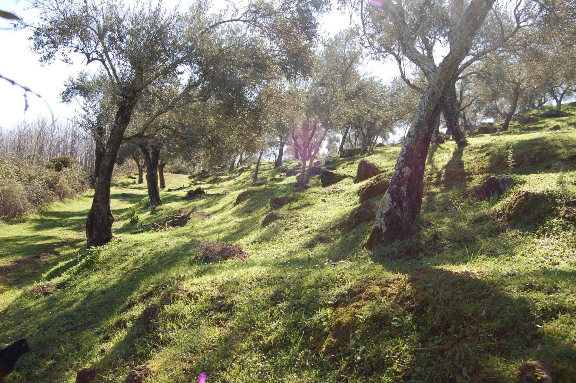 Los Pozos De La Nieve Constantina Exteriör bild